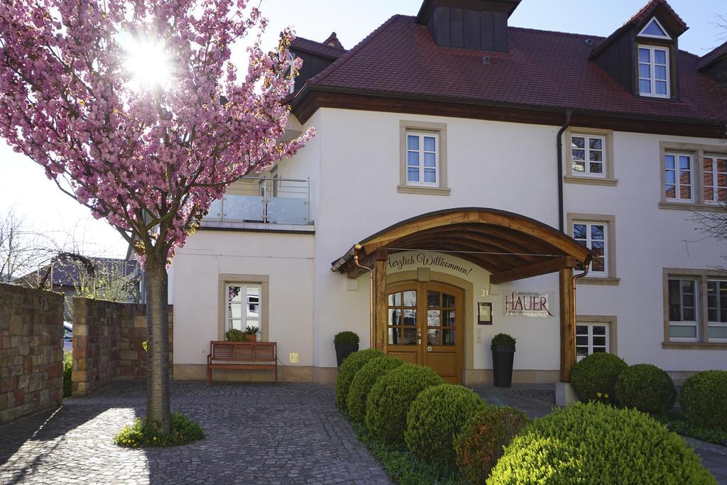 Landhotel Hauer Pleisweiler-Oberhofen Екстериор снимка