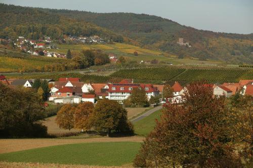 Landhotel Hauer Pleisweiler-Oberhofen Екстериор снимка
